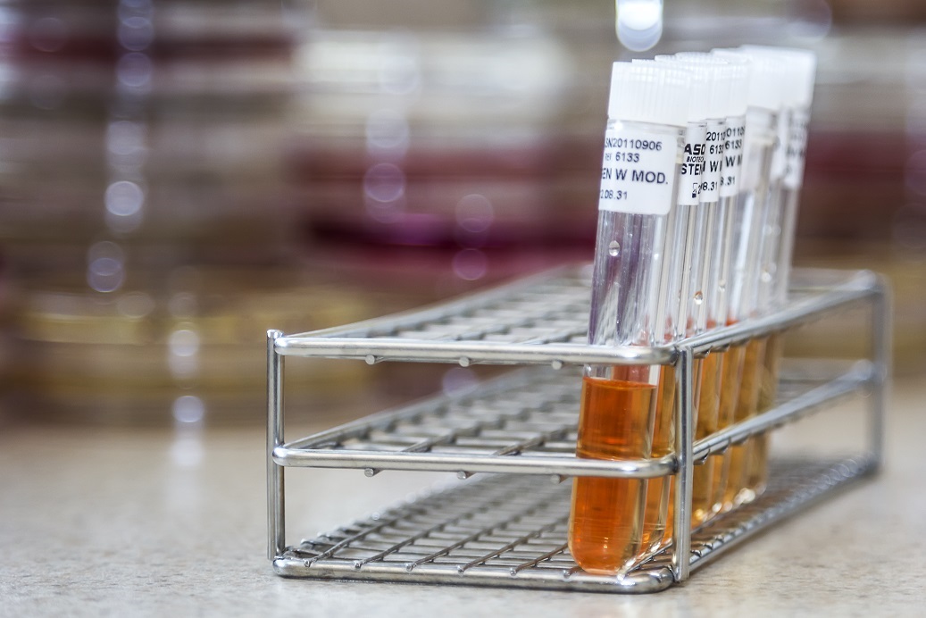 Instytut-Mikroekologii4 Mikroflora jelitowa, fakty i mity o bakteriach